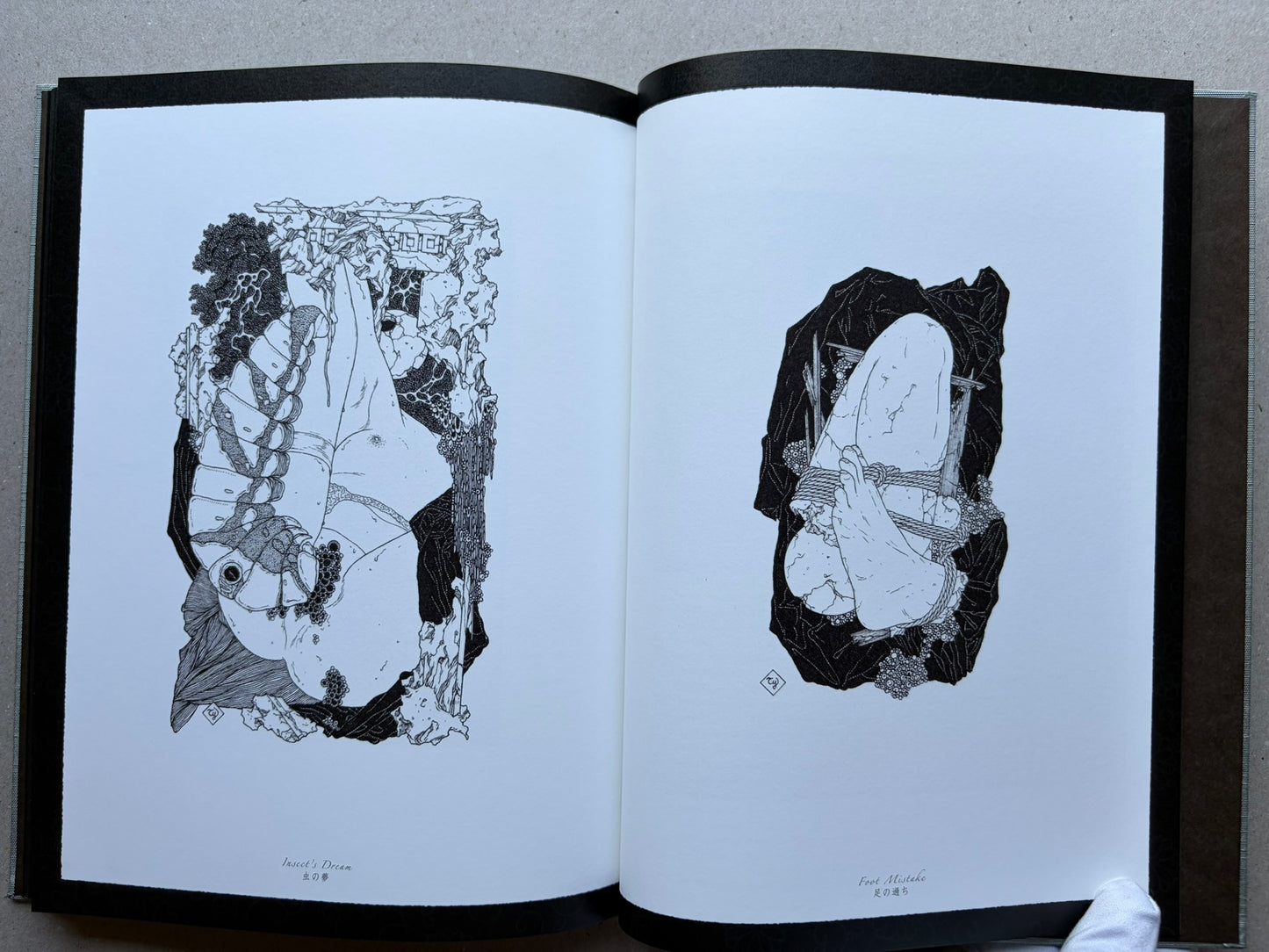 Allure of Pharmakon by Takato Yamamoto, signed endpaper spread