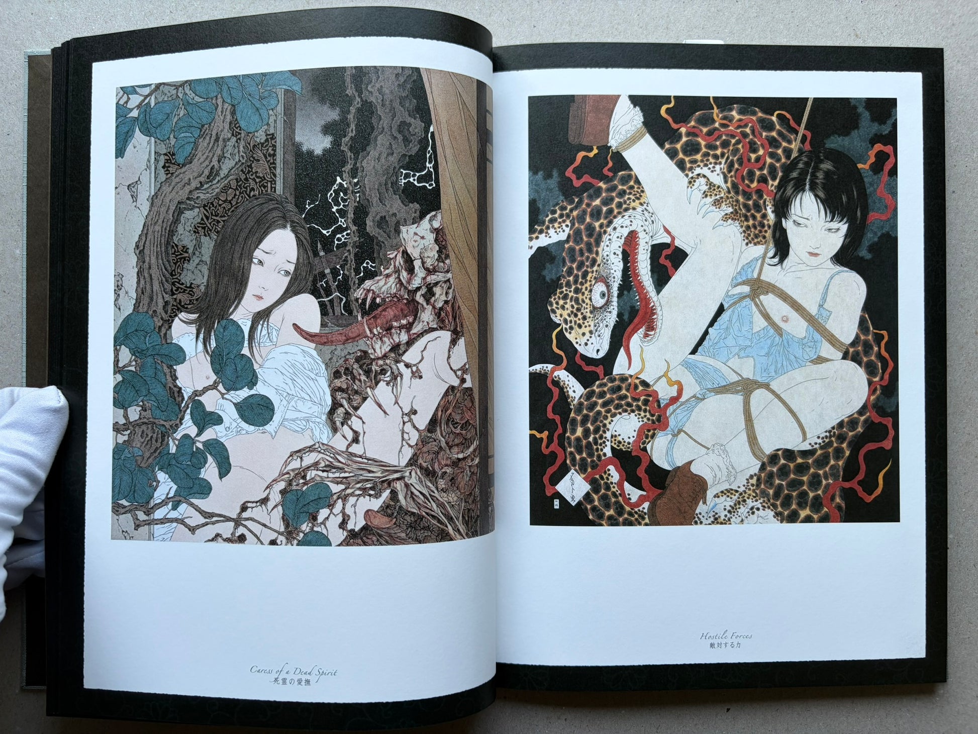 Allure of Pharmakon by Takato Yamamoto, two-page colour illustration spread