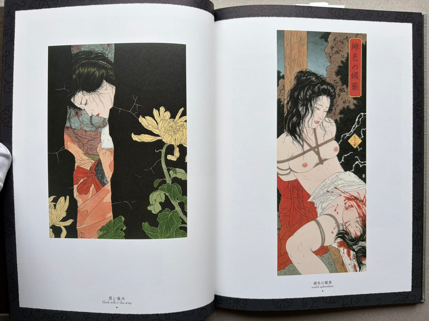 Altar of Narcissus by Takato Yamamoto, New Black Edition, illustrated interior spread with two full-page images
