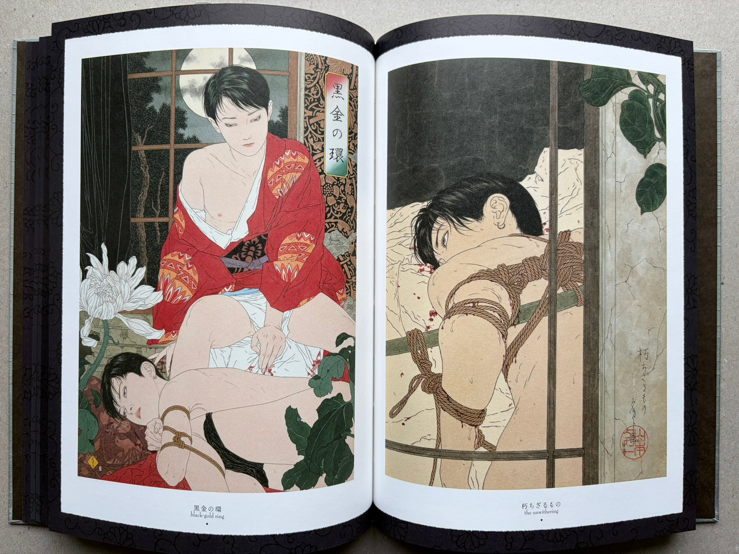 Altar of Narcissus by Takato Yamamoto, New Black Edition, illustrated interior spread with two full-page images