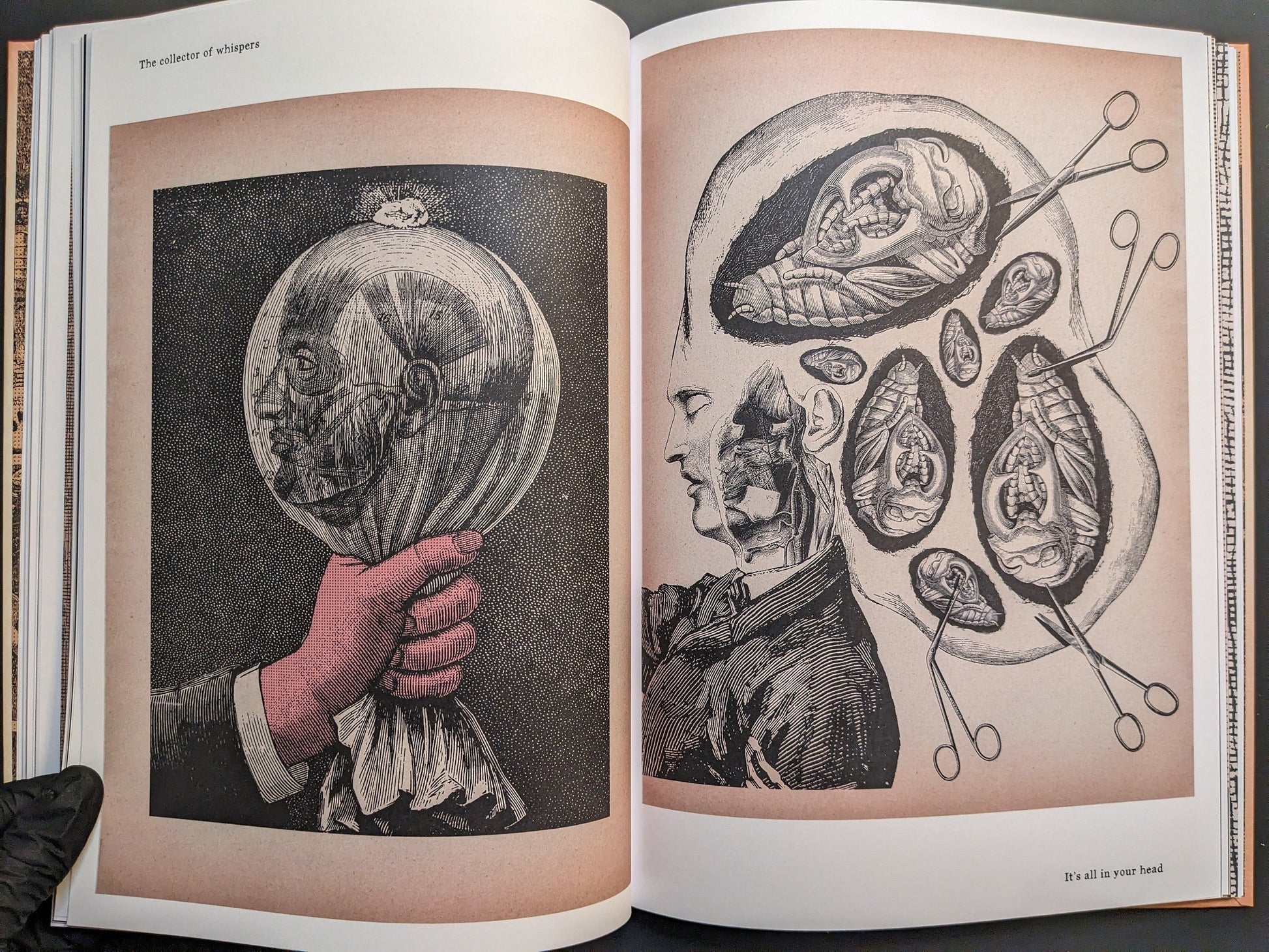 Spread — ‘The collector of whispers’ bagged head; ‘It’s all in your head’ cranial cutaway.