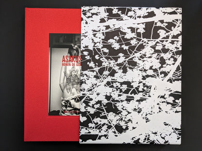 Book Asakusa partially inserted into its slipcase
