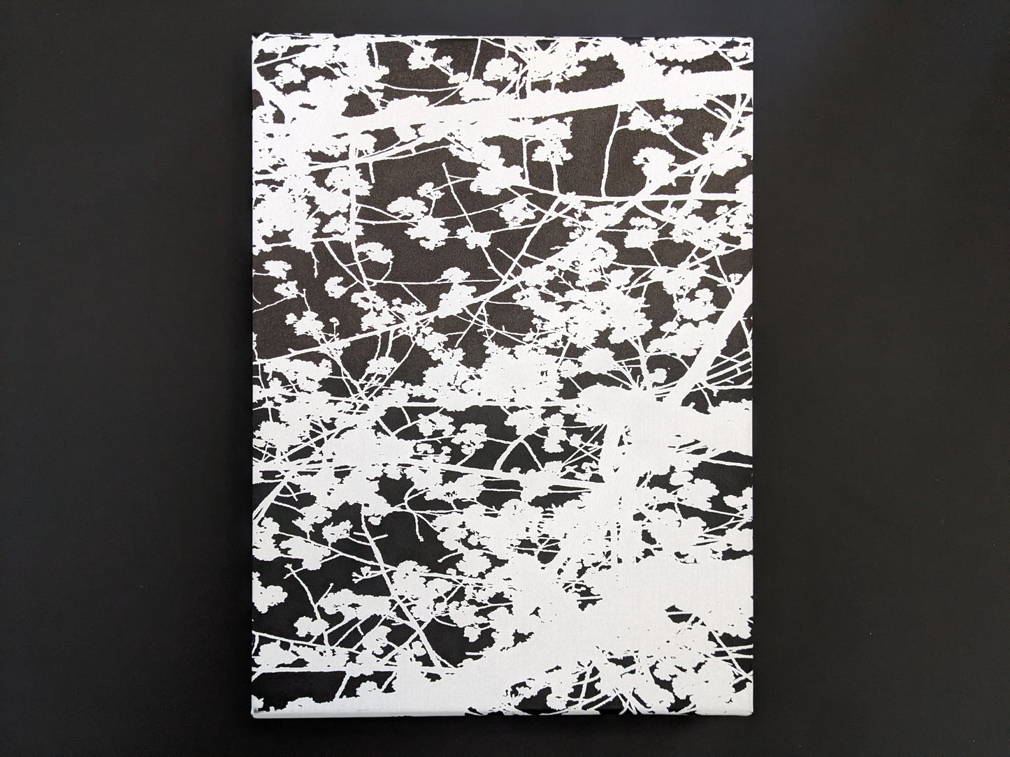Front of the slipcase with a minimal design