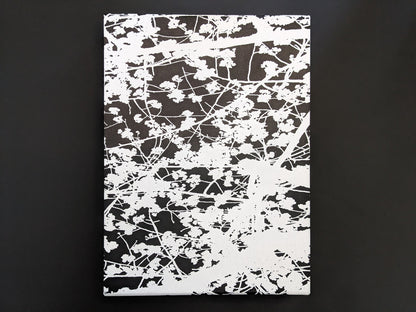 Front of the slipcase with a minimal design