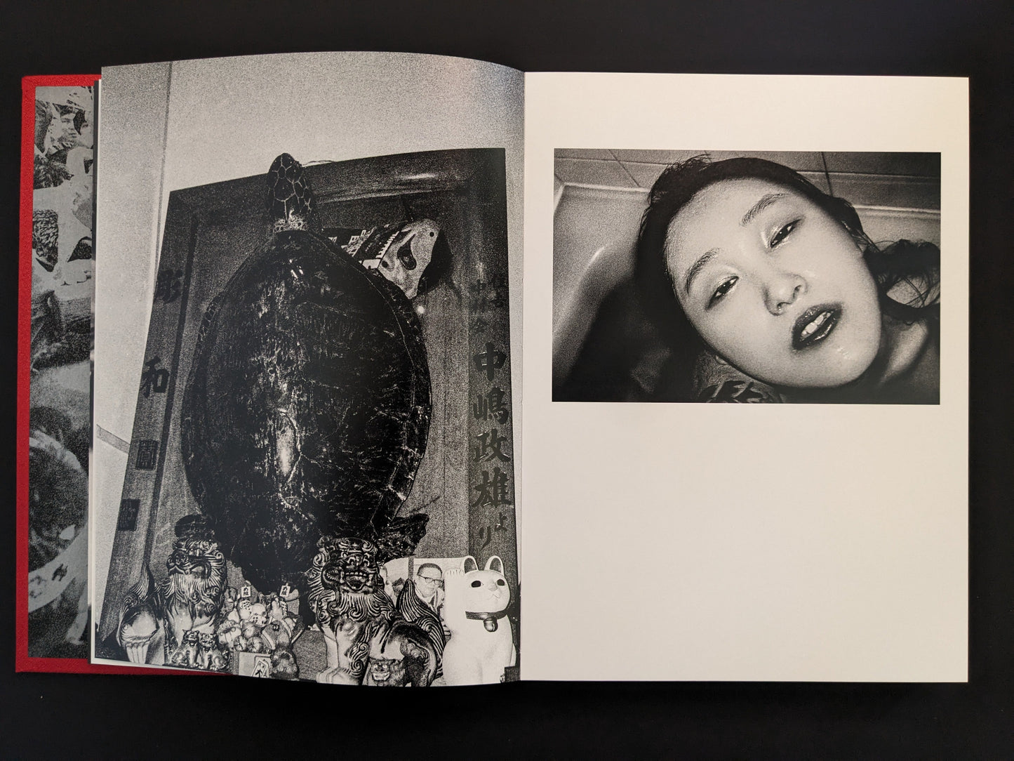 Book page showing a turtle shell with figurines beside a female portrait