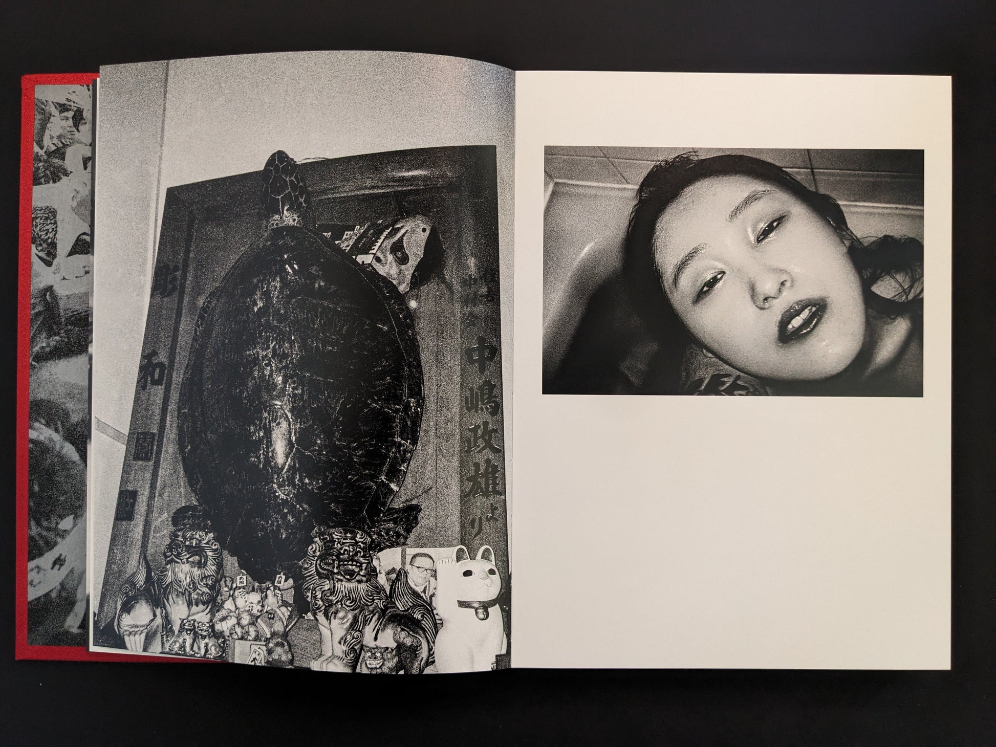 Book page showing a turtle shell with figurines beside a female portrait