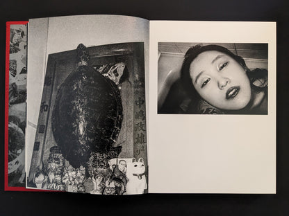 Book page showing a turtle shell with figurines beside a female portrait
