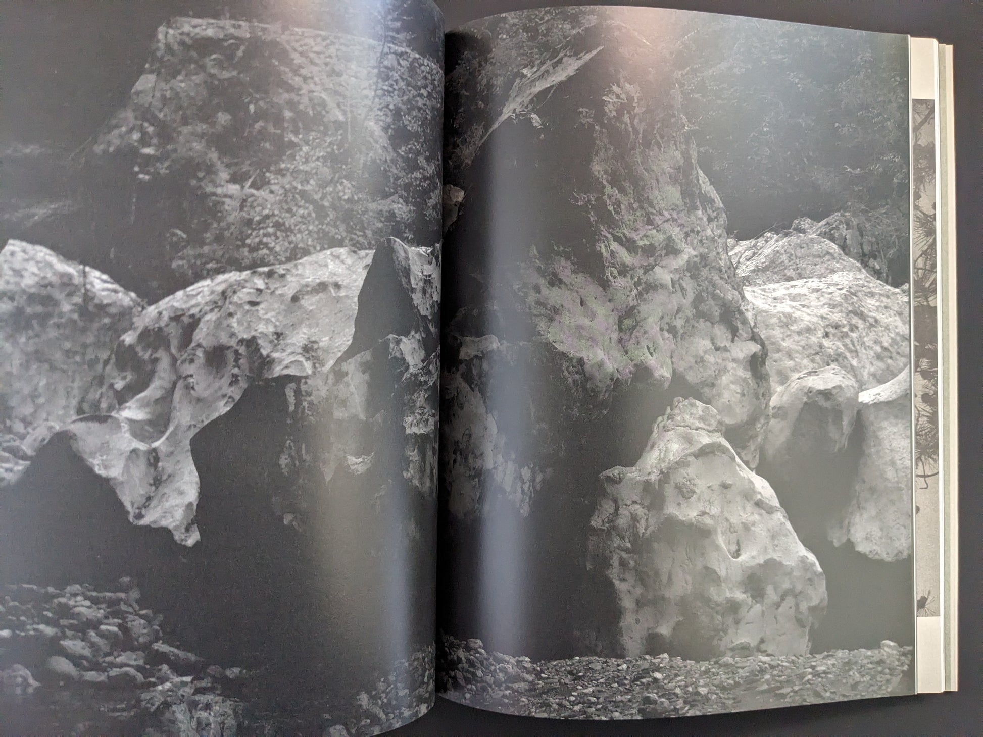 Photograph from Ash (New Edition) by Muge, dark-toned image of rocks and forest shadows.