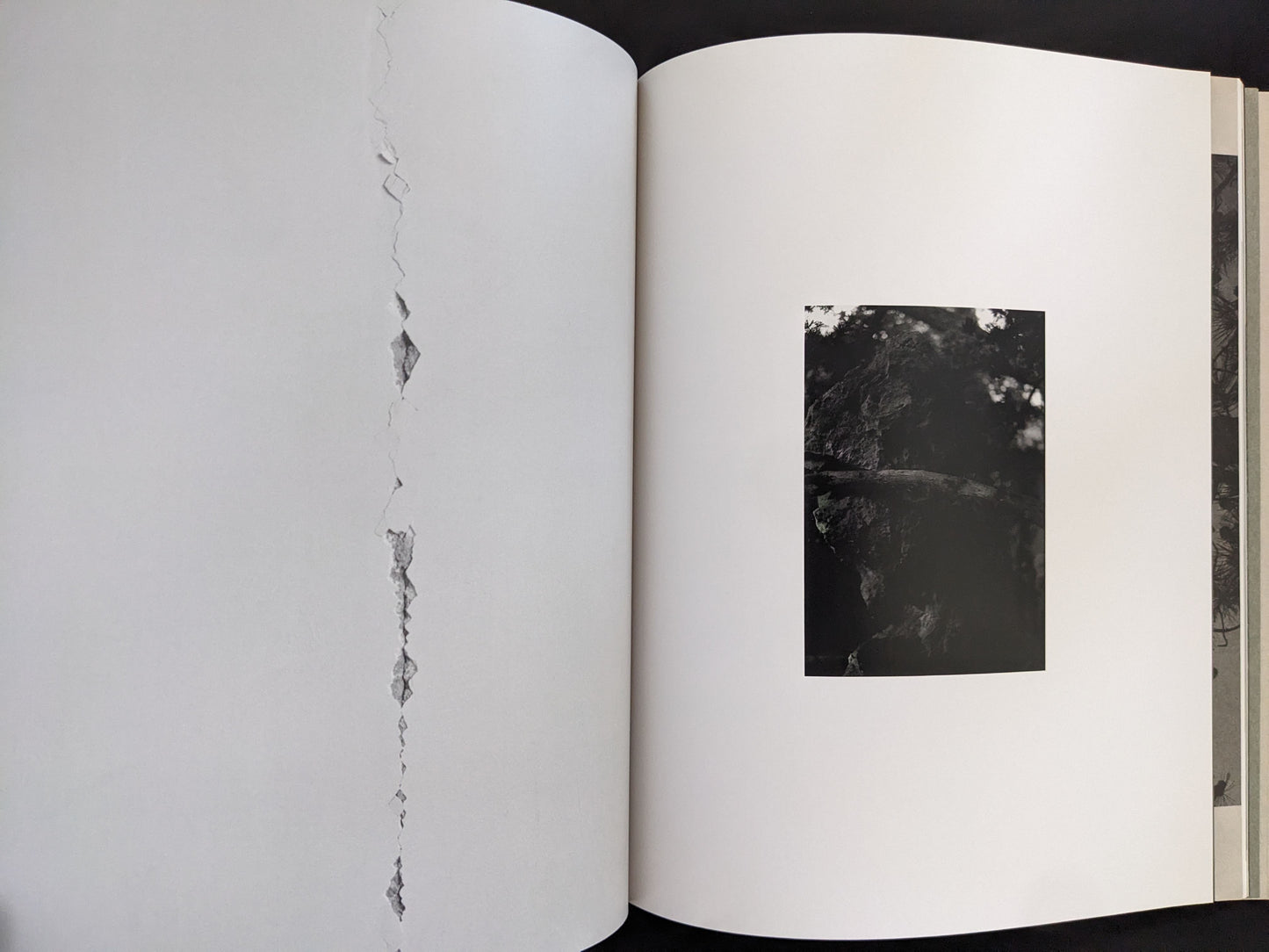 Open spread from ASH (New Edition) by Muge, with a small grayscale photograph of tree branches against the sky.