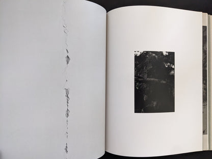 Open spread from ASH (New Edition) by Muge, with a small grayscale photograph of tree branches against the sky.