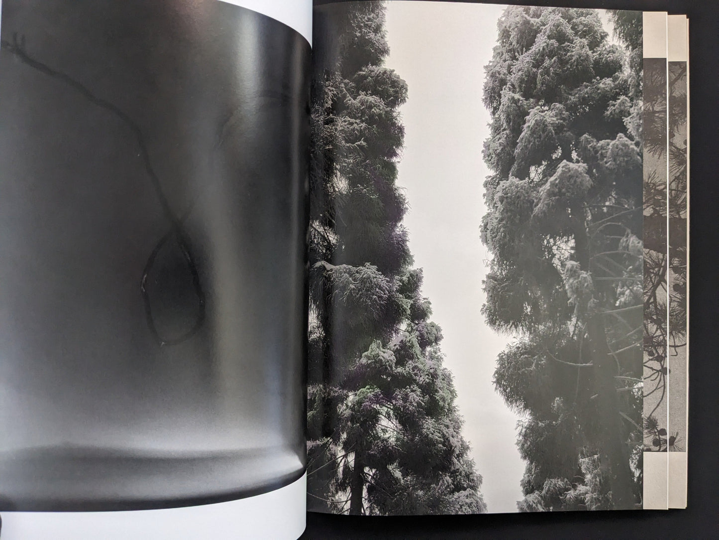 Open spread from ASH (New Edition) by Muge, with a dense black-and-white forest scene.