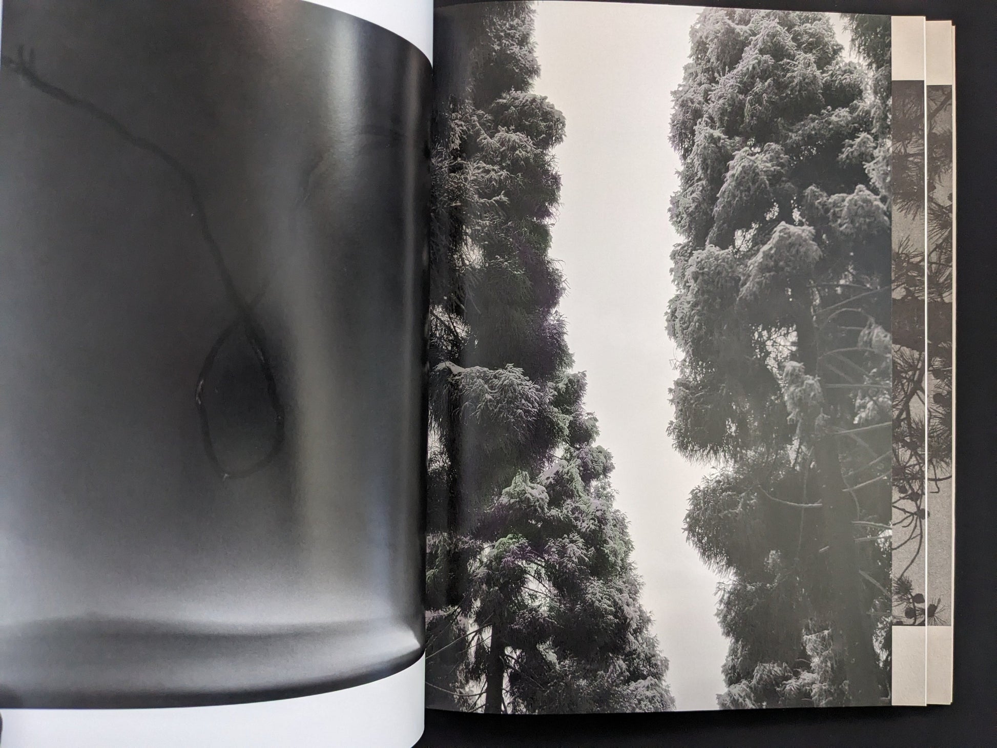 Open spread from ASH (New Edition) by Muge, with a dense black-and-white forest scene.