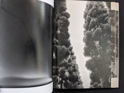 Open spread from ASH (New Edition) by Muge, with a dense black-and-white forest scene.