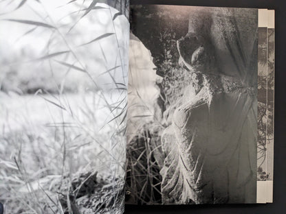 Close-up of carved stone detail from Ash (New Edition) by Muge.