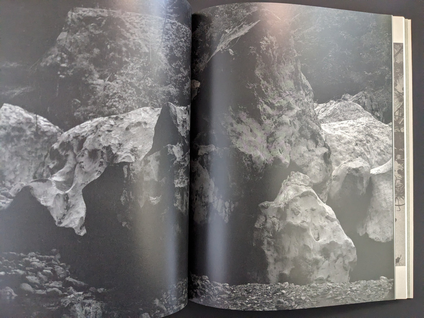 Open spread from ASH (New Edition) by Muge, with a dark-toned image of rocks and forest shadows.