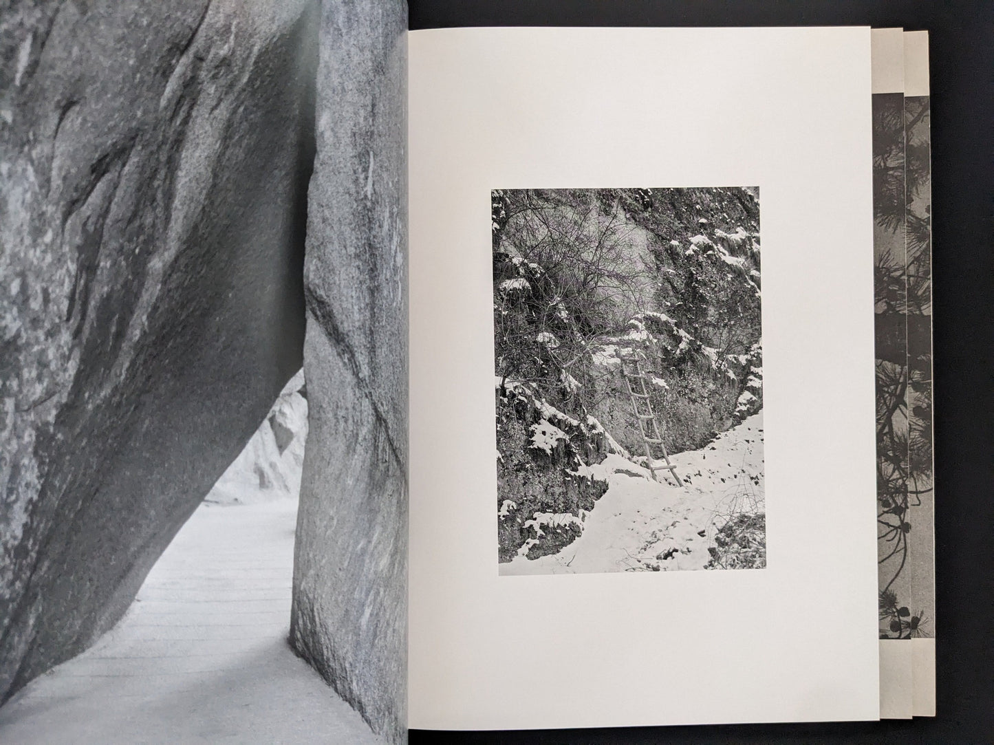 Open spread from ASH (New Edition) by Muge, with a snowy forest landscape on the right page.