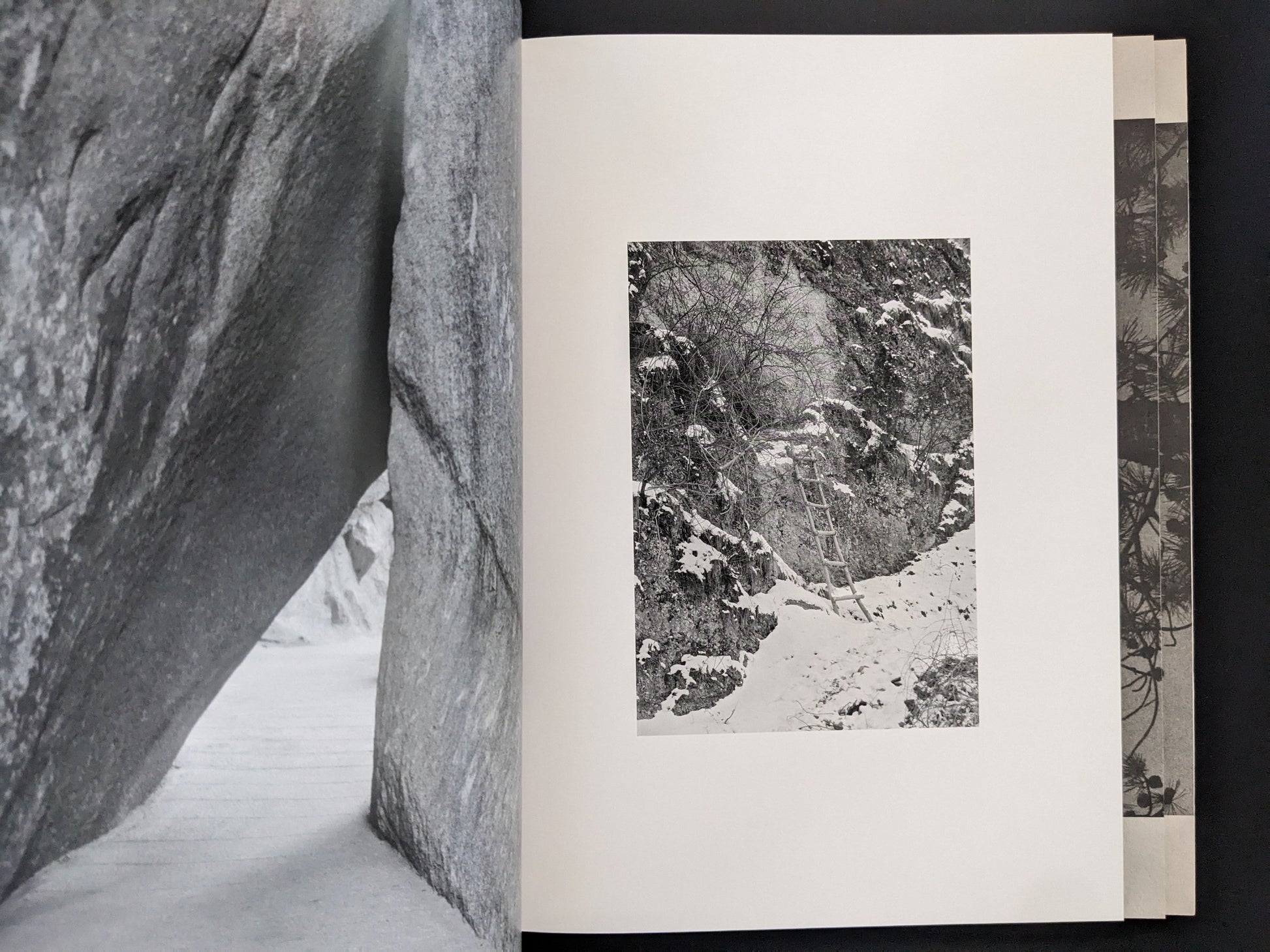 Open spread from ASH (New Edition) by Muge, with a snowy forest landscape on the right page.