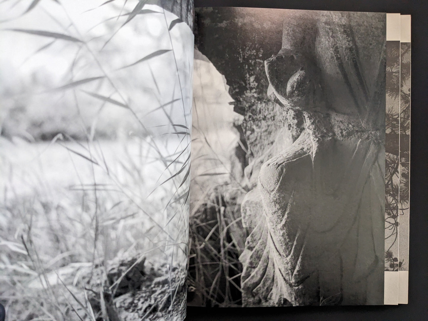 Open spread from ASH (New Edition) by Muge, showing a close-up of a carved stone surface.