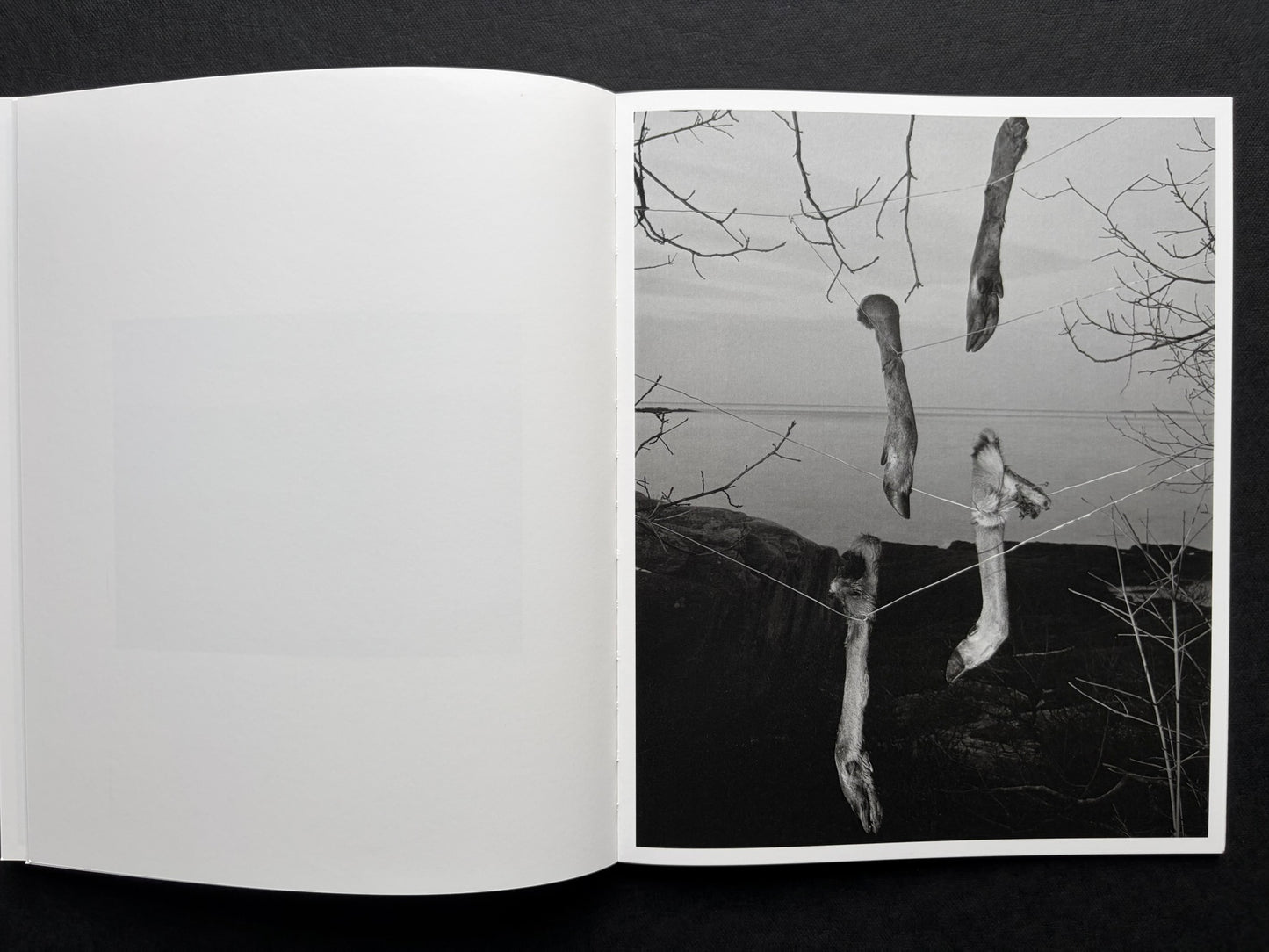 At Night Gardens Grow by Pia-Paulina Guilmoth, open spread with a blank left page and a portrait of a person holding a long pole on the right