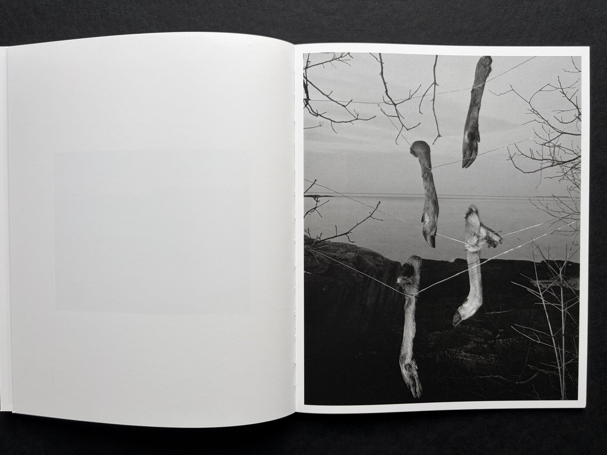 At Night Gardens Grow by Pia-Paulina Guilmoth, open spread with a blank left page and a portrait of a person holding a long pole on the right
