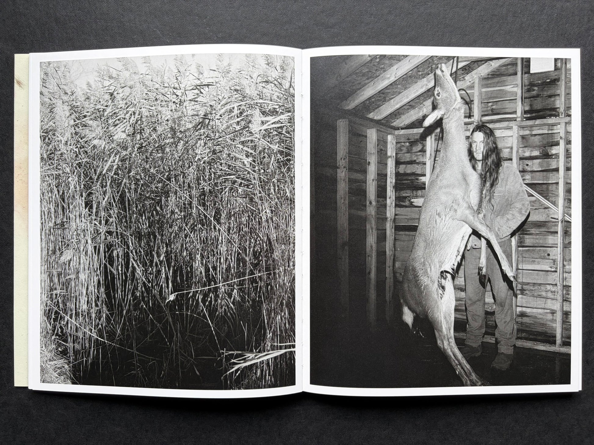 At Night Gardens Grow by Pia-Paulina Guilmoth, open spread with dense reeds on the left and a portrait of a person holding a deer on the right
