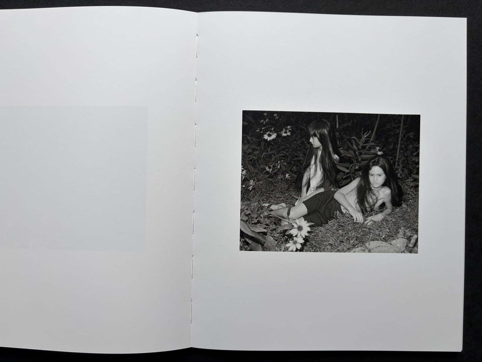 At Night Gardens Grow by Pia-Paulina Guilmoth, open spread with fern leaves on the left and a dark water scene on the right