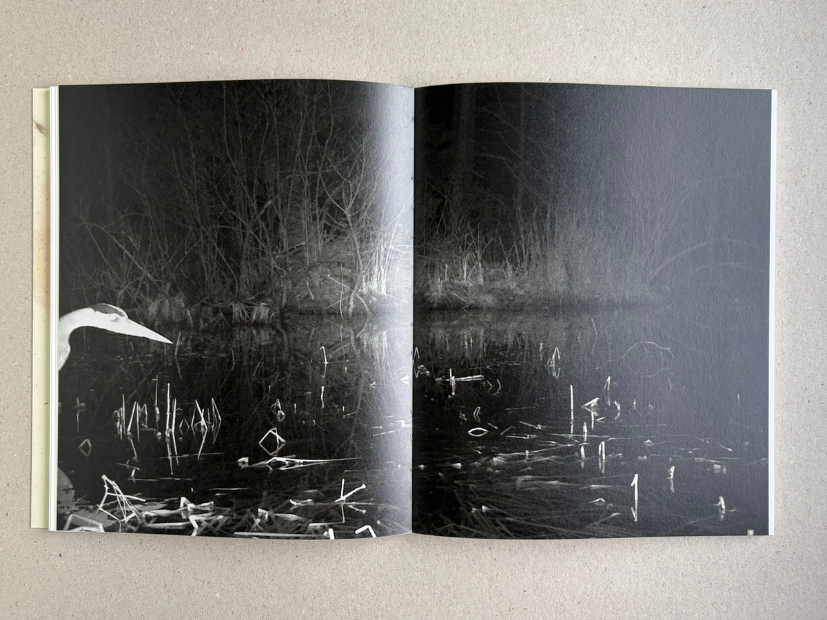 At Night Gardens Grow open to a dark black-and-white spread of a marsh or riverbank at night