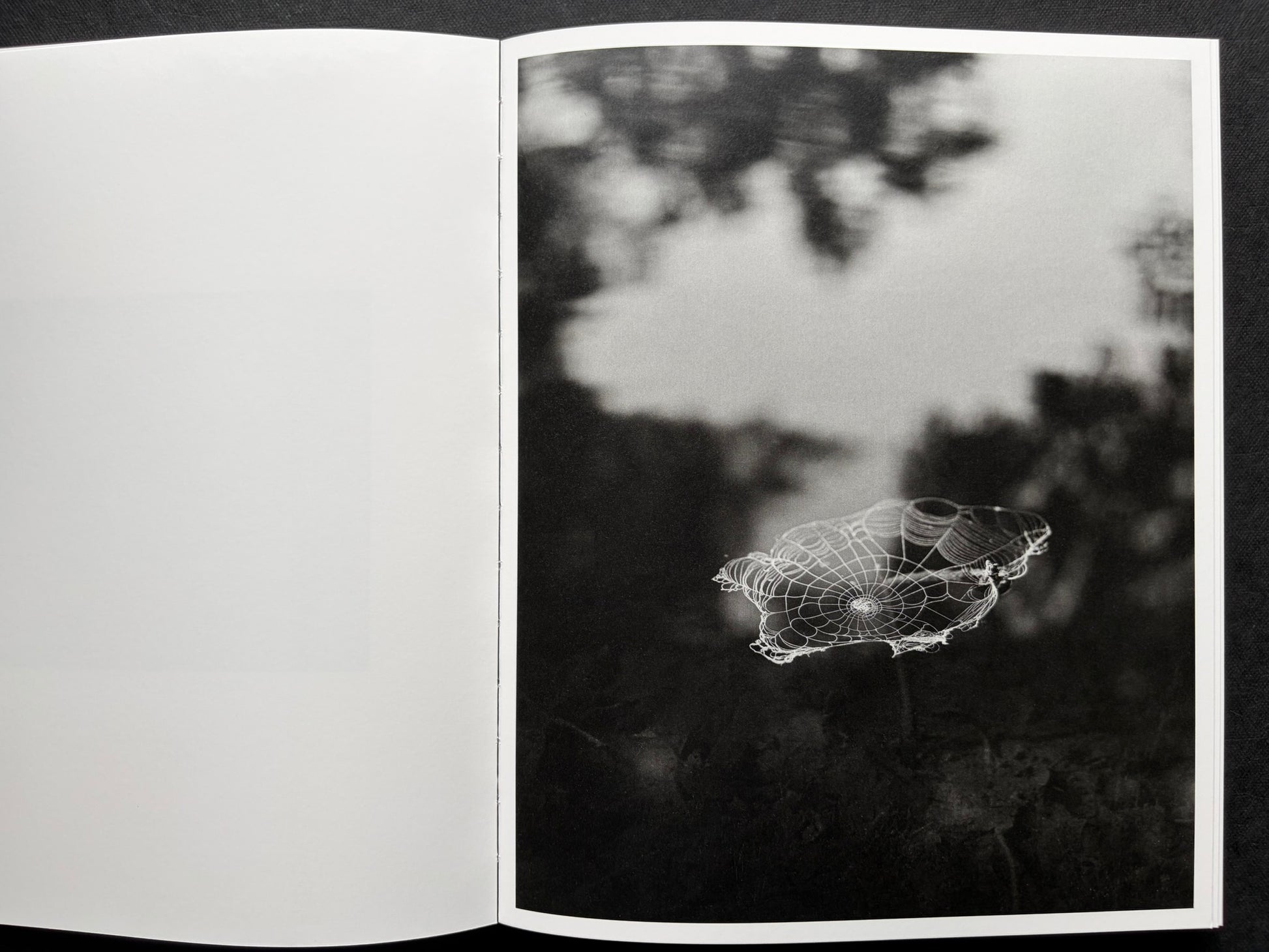 At Night Gardens Grow by Pia-Paulina Guilmoth, open spread with a blurred page on the left and a spider web photograph on the right