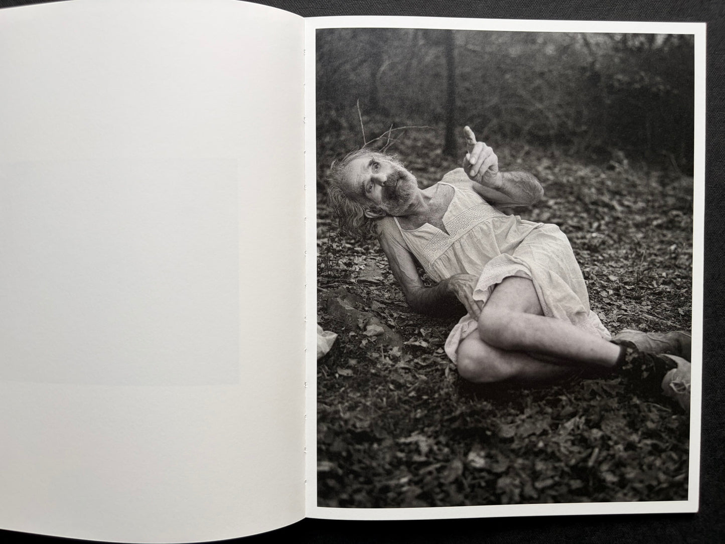 At Night Gardens Grow by Pia-Paulina Guilmoth, open spread with a blank left page and a portrait of a person reclining in the woods on the right