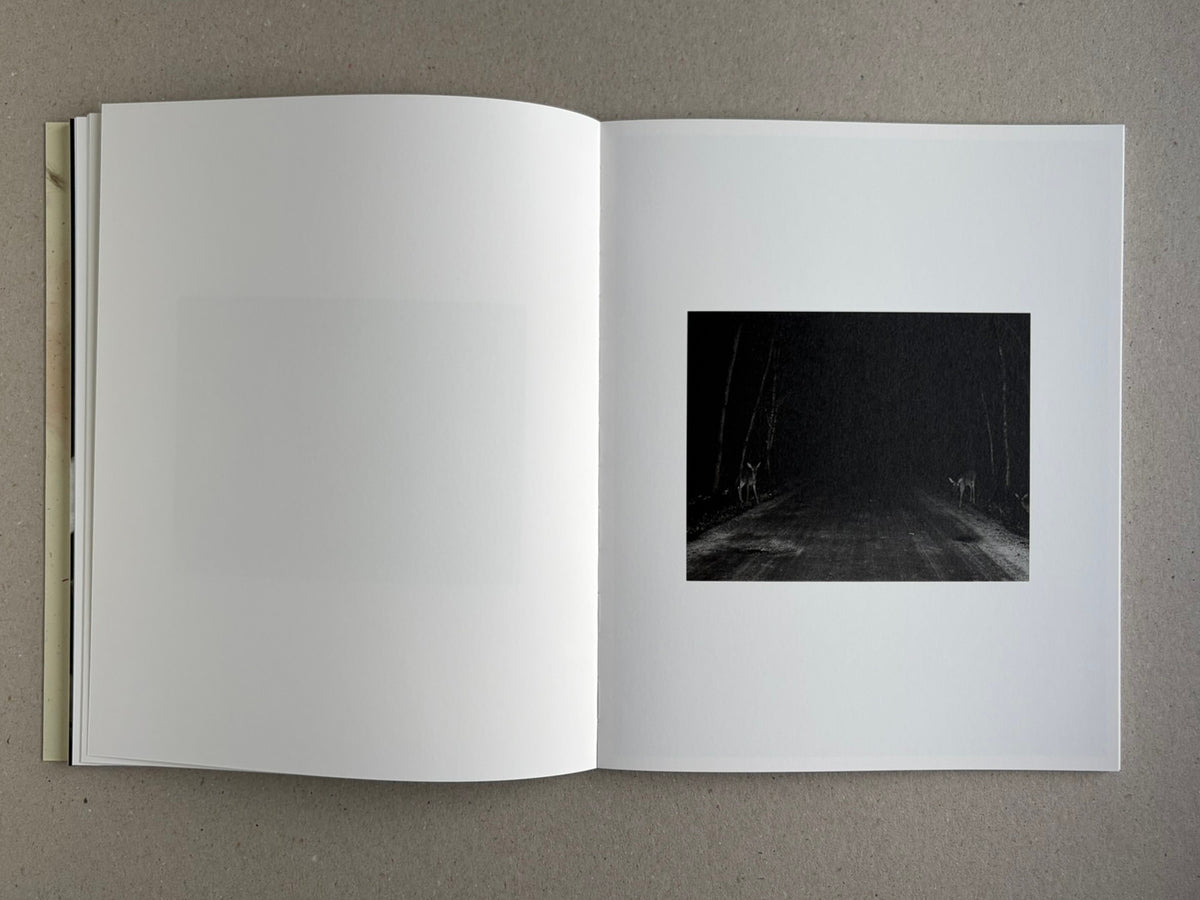 At Night Gardens Grow open to a small black-and-white photograph of a road at night with deer at the edges