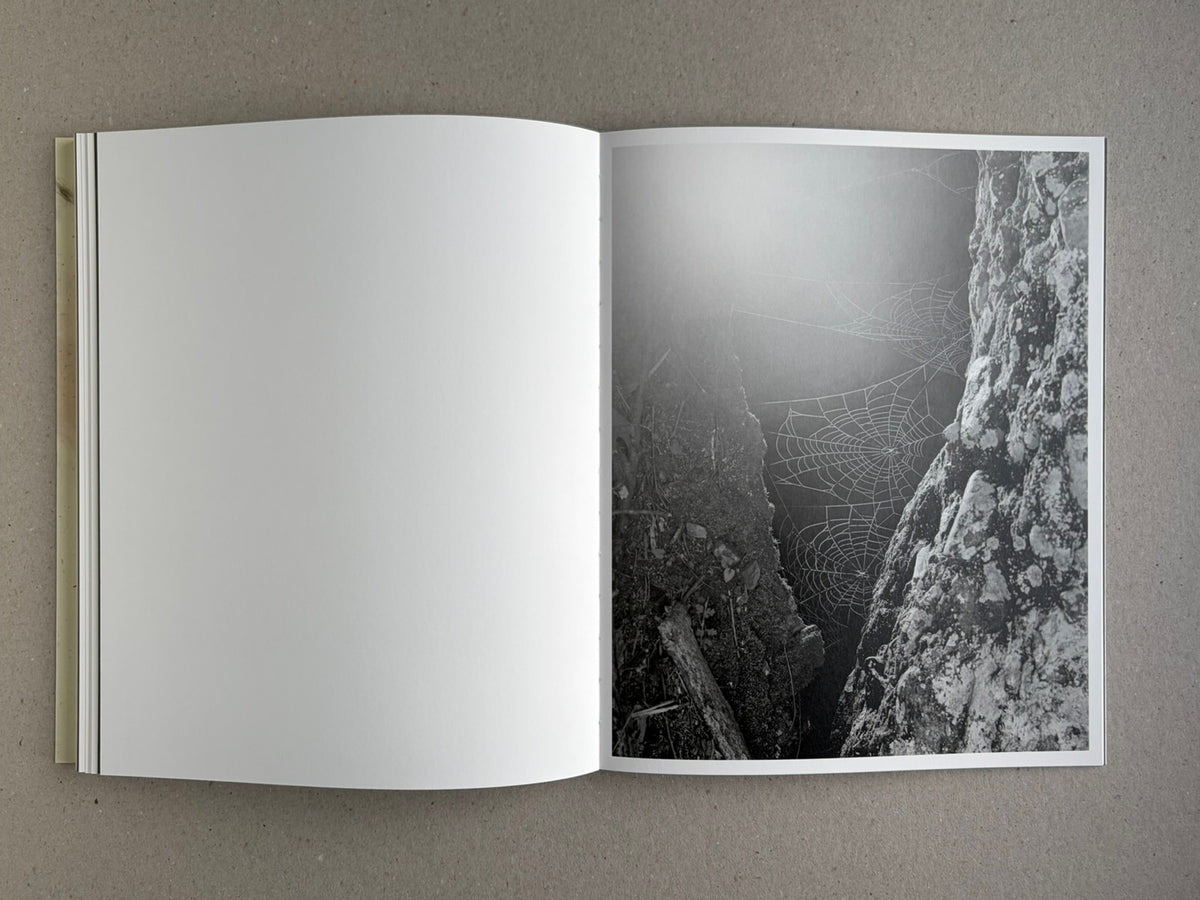 At Night Gardens Grow open to a black-and-white image of spider webs between rocks