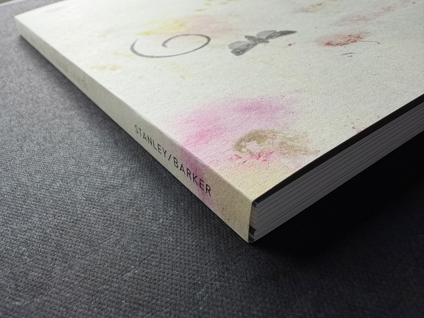 At Night Gardens Grow by Pia-Paulina Guilmoth, angled view of the front cover and spine with STANLEY/BARKER visible
