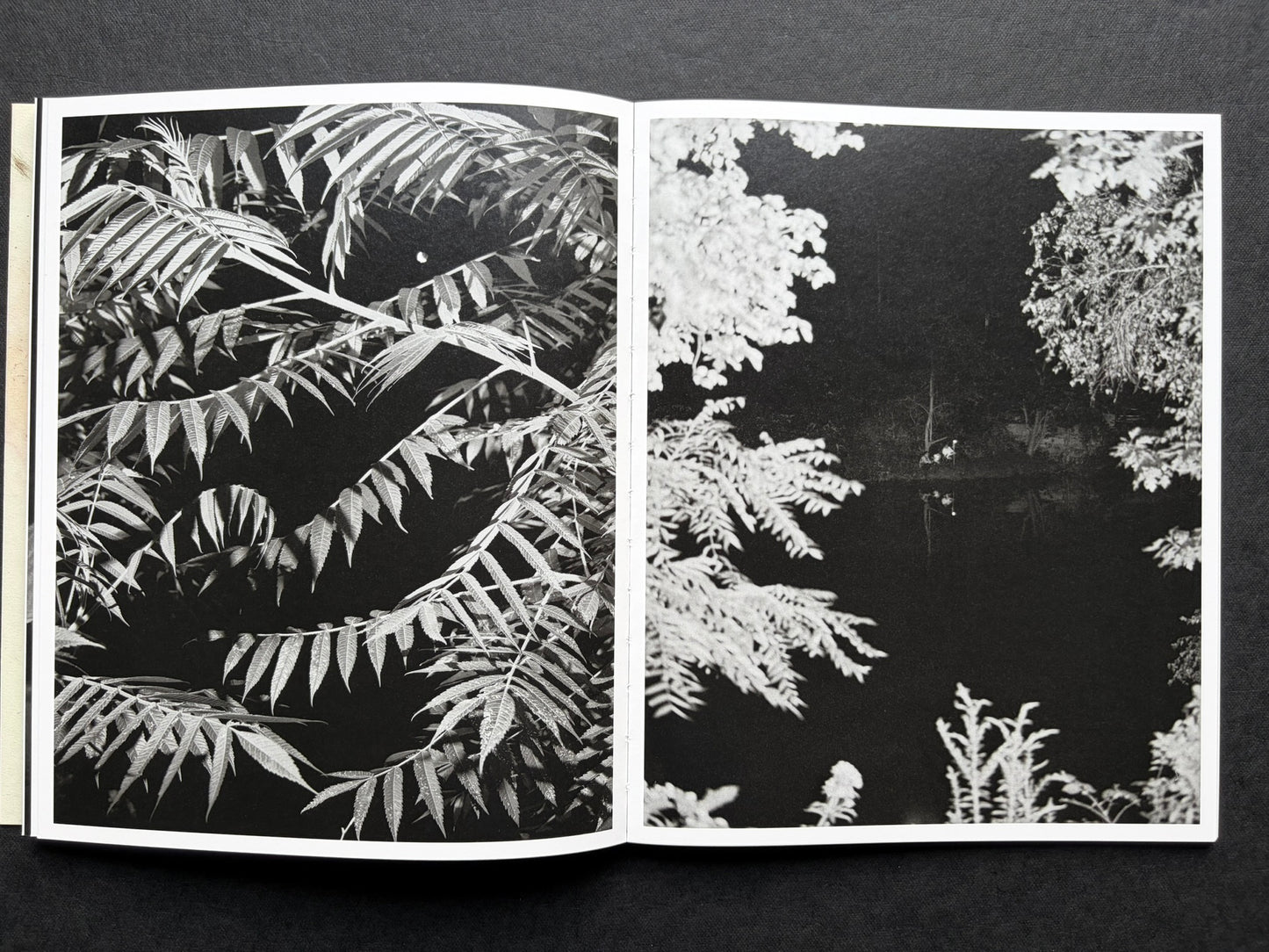 At Night Gardens Grow by Pia-Paulina Guilmoth, open spread with plant leaves on the left and a dark landscape with hanging animal legs on the right