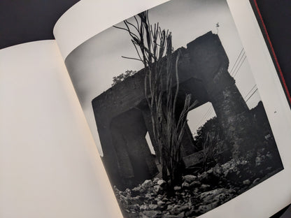 Ruins of a destroyed coal mining building with vegetation, from Berg Werk by Sincei Yamamoto