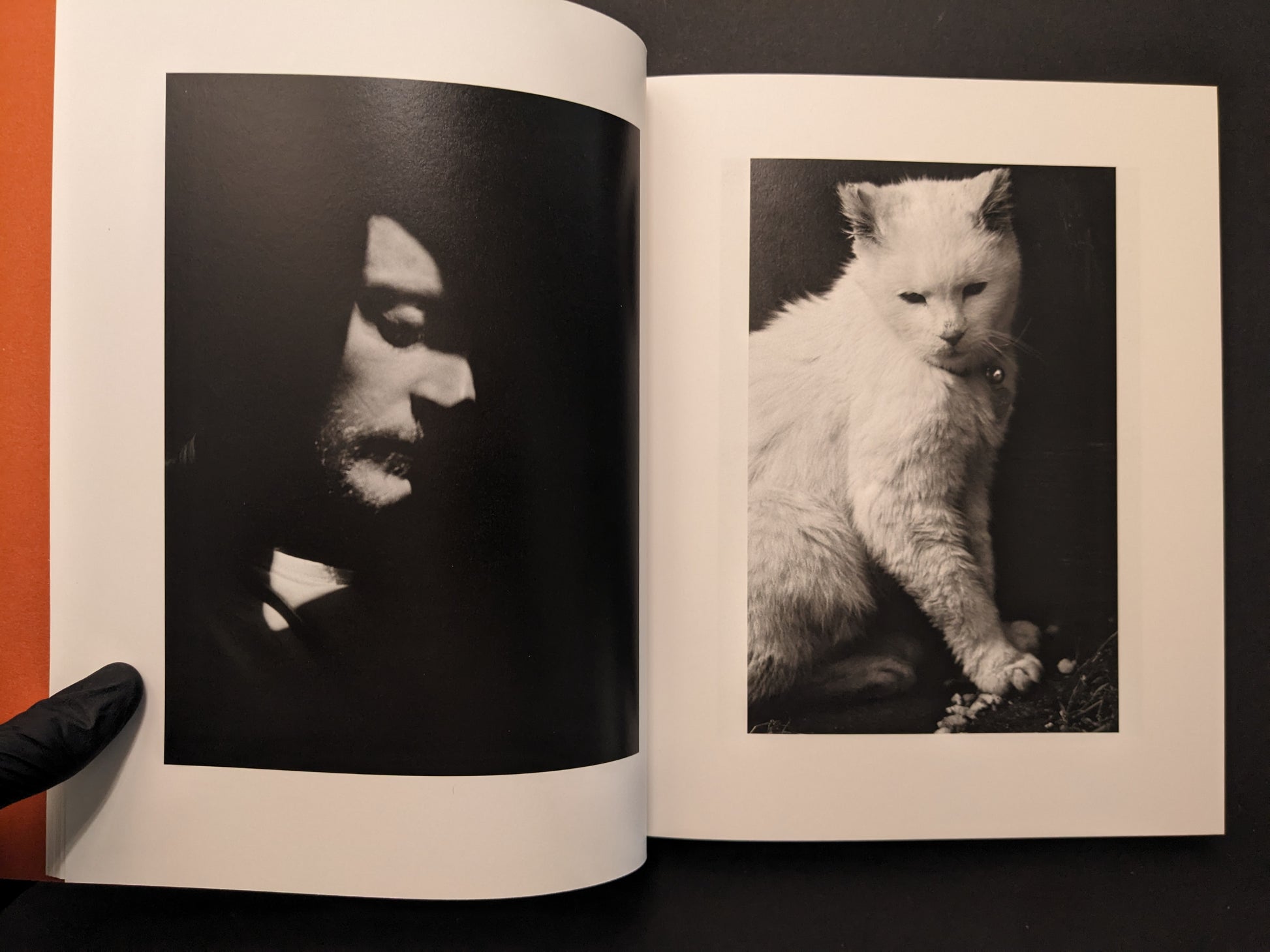 Interior spread from between the skin and sea by Katrin Koenning with a shadowed portrait and a black-and-white photo of a white cat.