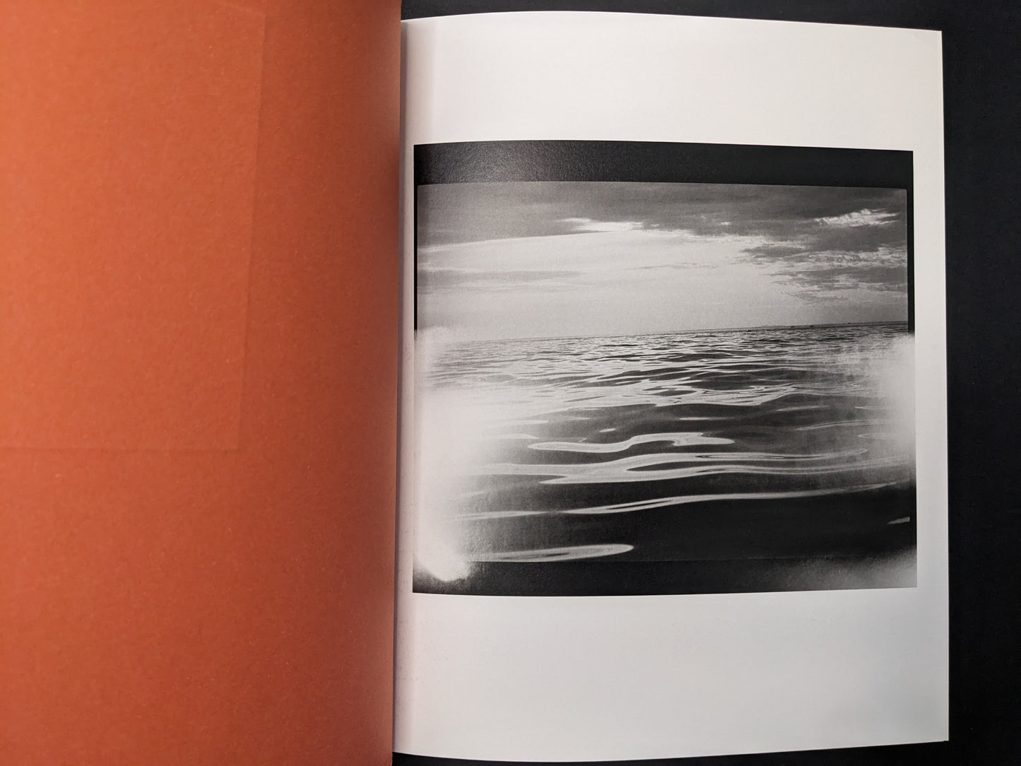 Interior spread from between the skin and sea by Katrin Koenning showing a black-and-white seascape with the horizon.