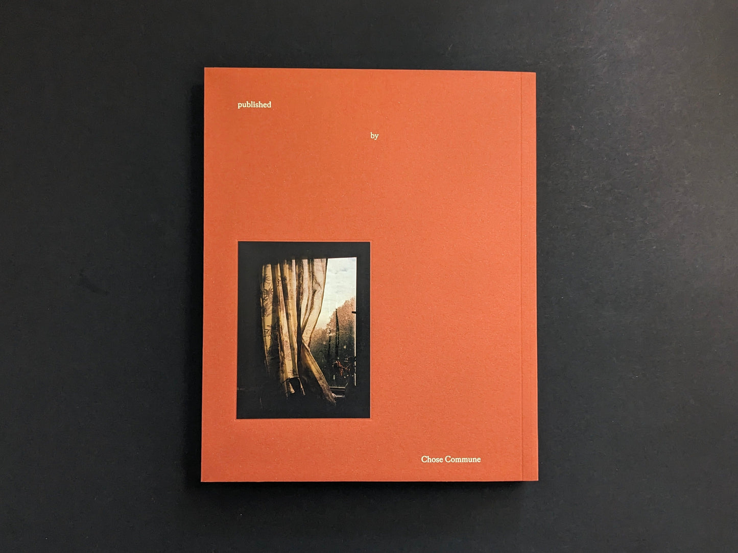 Back cover of between the skin and sea by Katrin Koenning (Chose Commune), orange cover with a small photo inset.