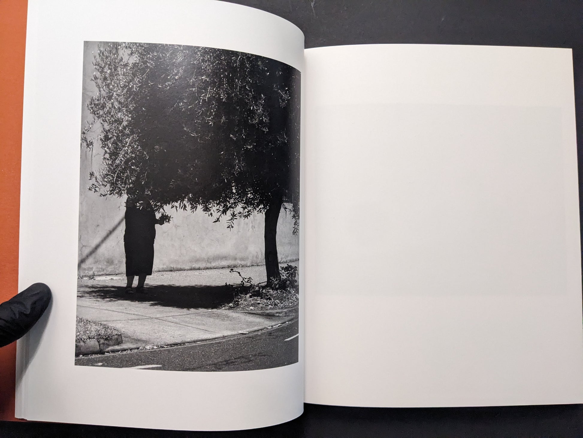 Interior page from between the skin and sea by Katrin Koenning (Chose Commune) showing a figure standing under a tree beside a wall.