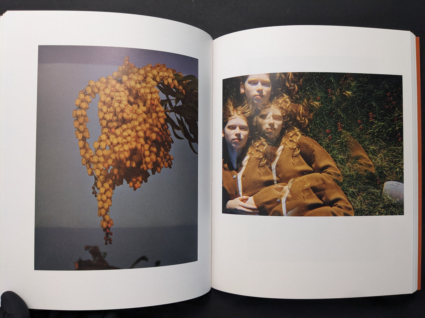 Interior spread from “between the skin and sea” by Katrin Koenning: yellow flowers and a layered portrait in colour.