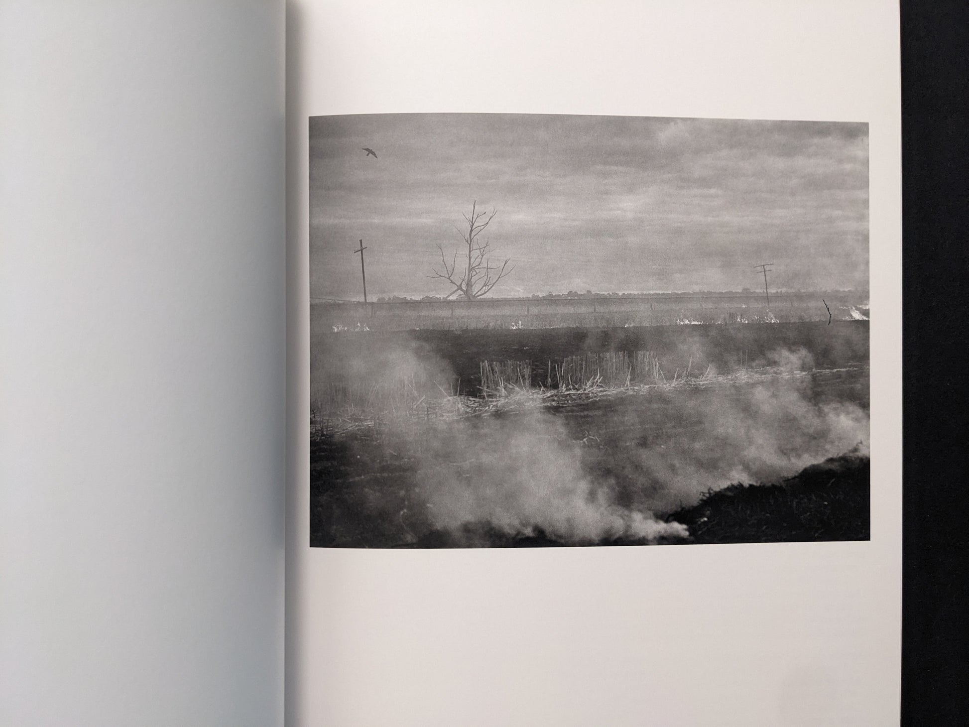 Interior page from between the skin and sea by Katrin Koenning (Chose Commune) showing a smoky landscape with a bare tree and utility poles.