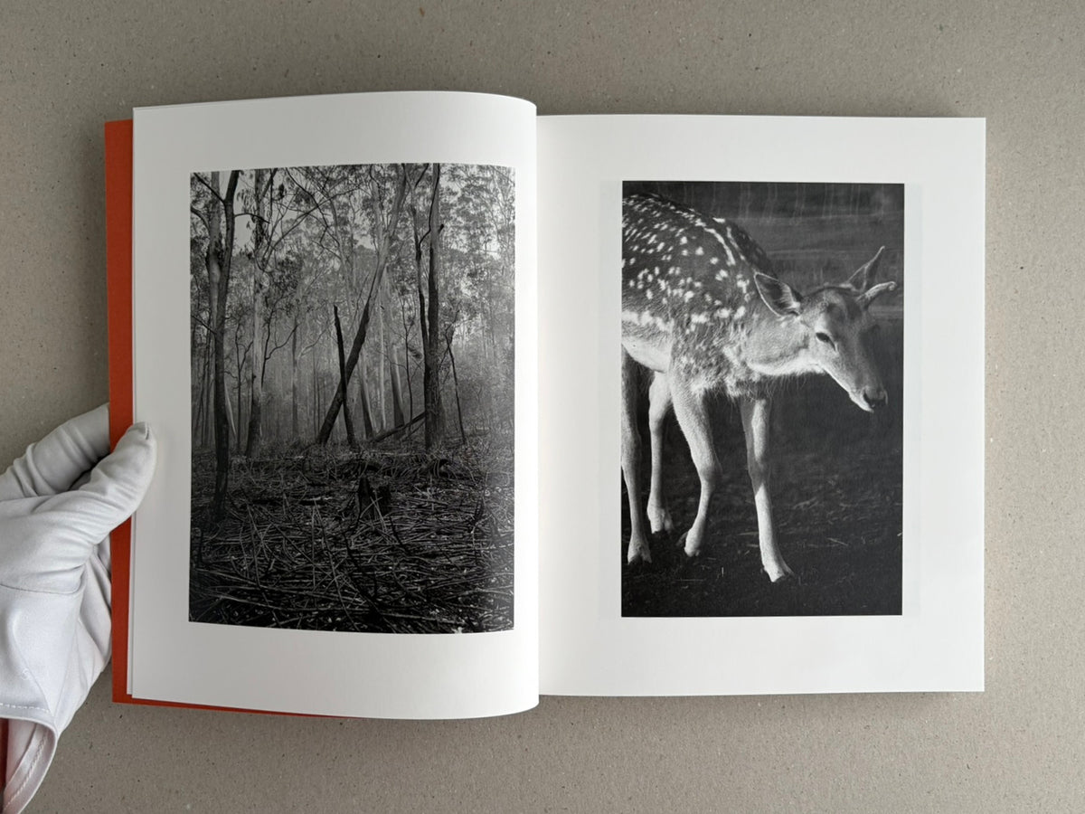 Open spread of between the skin and sea by Katrin Koenning, showing a black-and-white forest photograph on the left and a black-and-white deer image on the right.