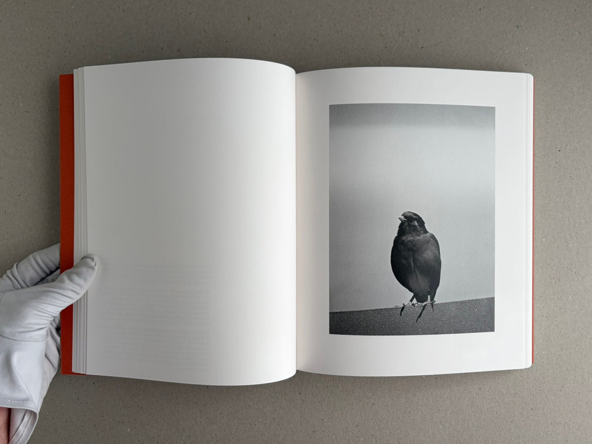 Open photobook spread from between the skin and sea by Katrin Koenning, with a black-and-white bird photograph on the right page and a gloved hand holding the book at left.
