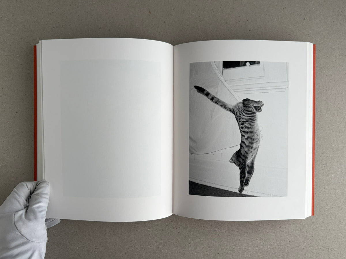 Open photobook spread from Between the Skin and Sea by Katrin Koenning, with a black-and-white cat photograph on the right page and a blank left page.