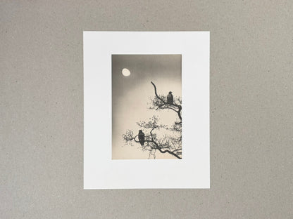 Birds 2 by Masao Yamamoto, a loose collotype print shown on a grey surface.