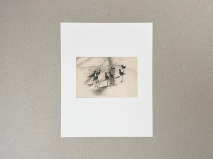 Birds 2 by Masao Yamamoto, collotype print mounted on a white sheet, showing a small sepia-toned image of birds standing on a pale ground.