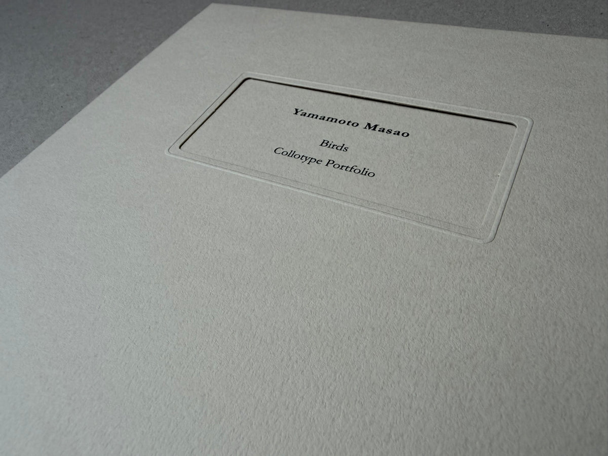Birds by Yamamoto Masao, portfolio cover with a recessed label reading "Yamamoto Masao / Birds / Collotype Portfolio".