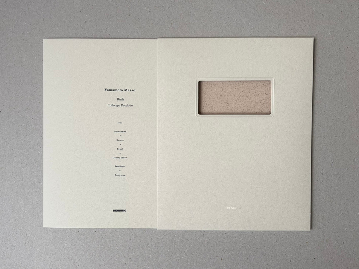 Birds by Masao Yamamoto, open portfolio with a cream cover and a window cut-out showing a speckled insert.