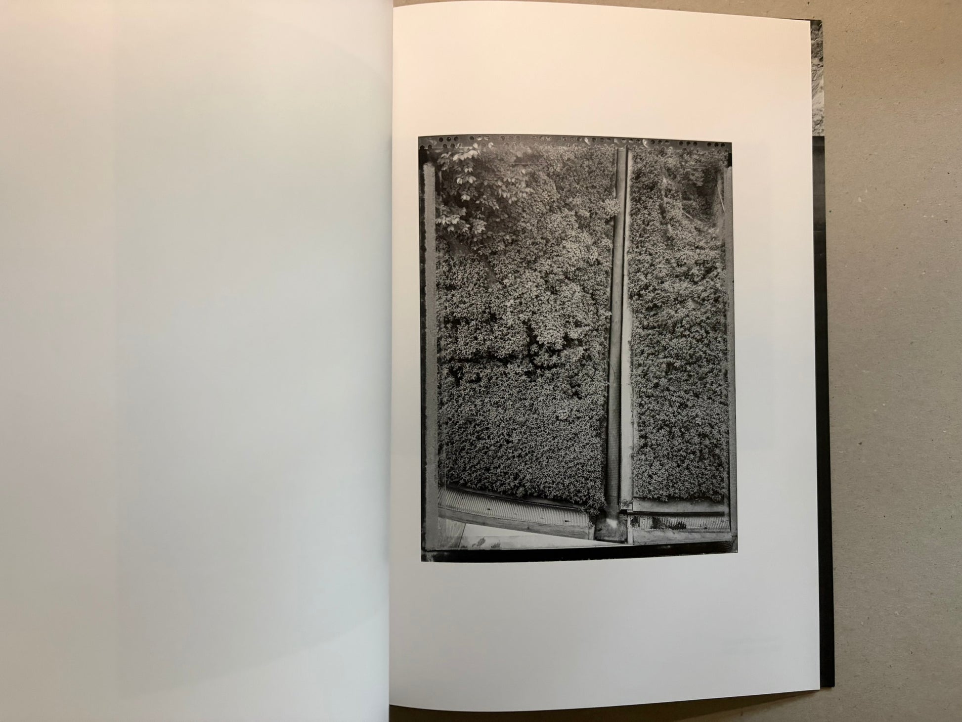 Boundary Hunt by Toshio Shibata, open spread with a black-and-white photograph of a vertical panel covered in dense vegetation.