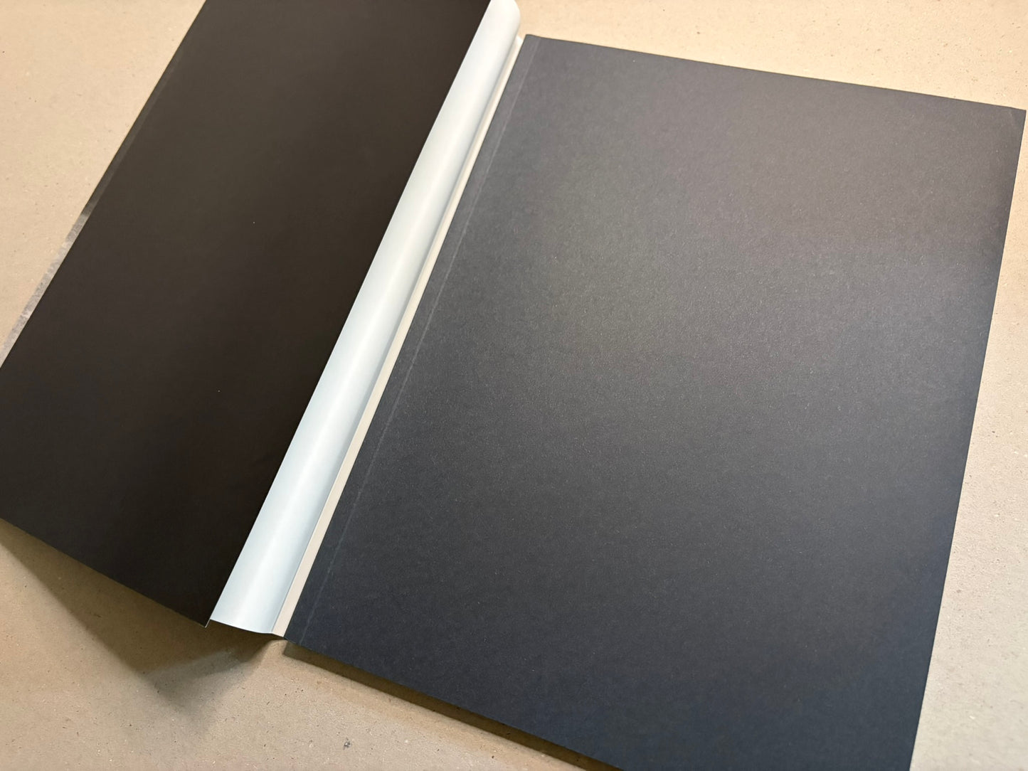 Boundary Hunt by Toshio Shibata, open book showing the black endpaper and inside cover.