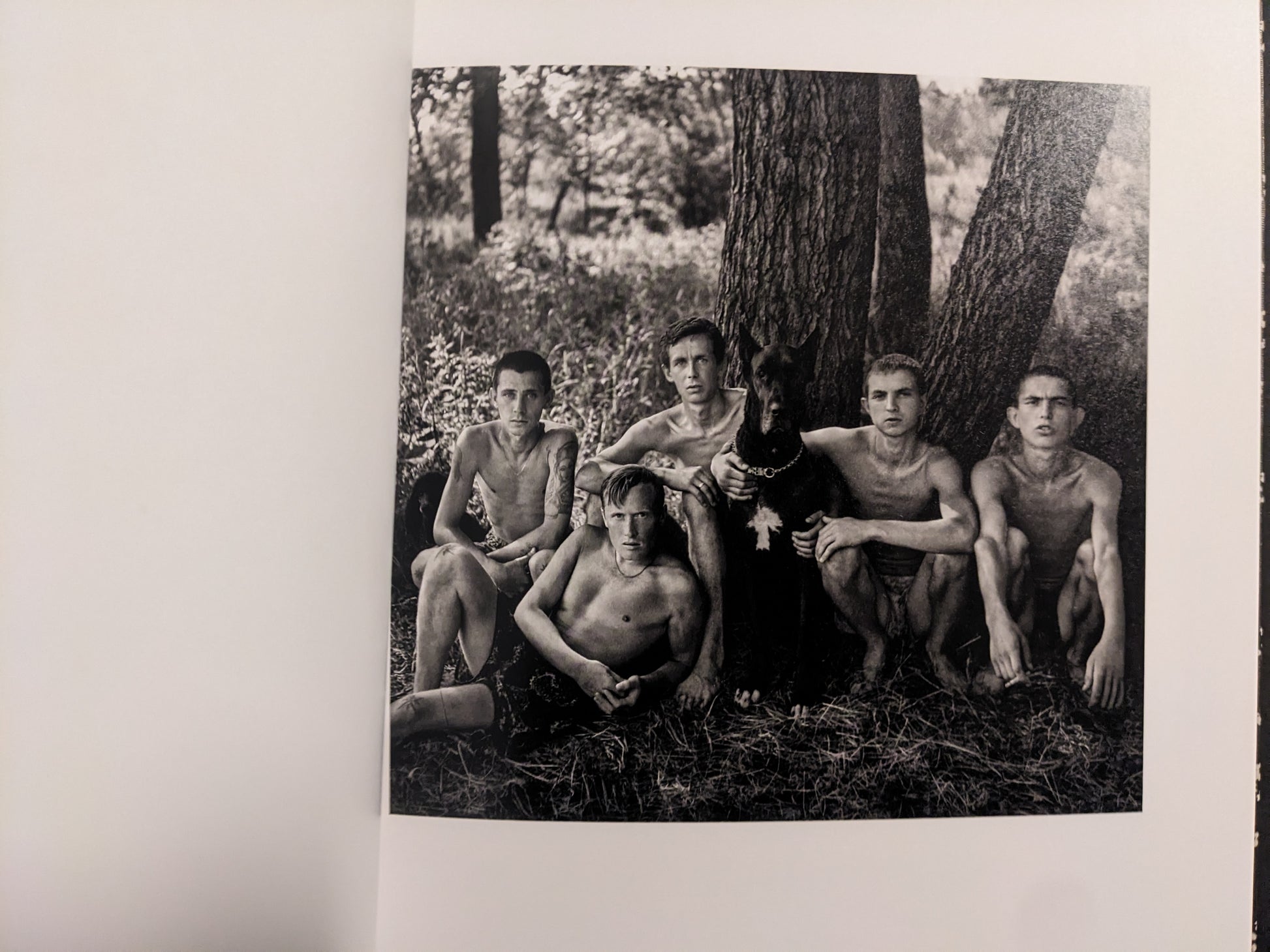 Interior photo from Cheryomushki: group portrait of young men gathered under a tree with a dog.